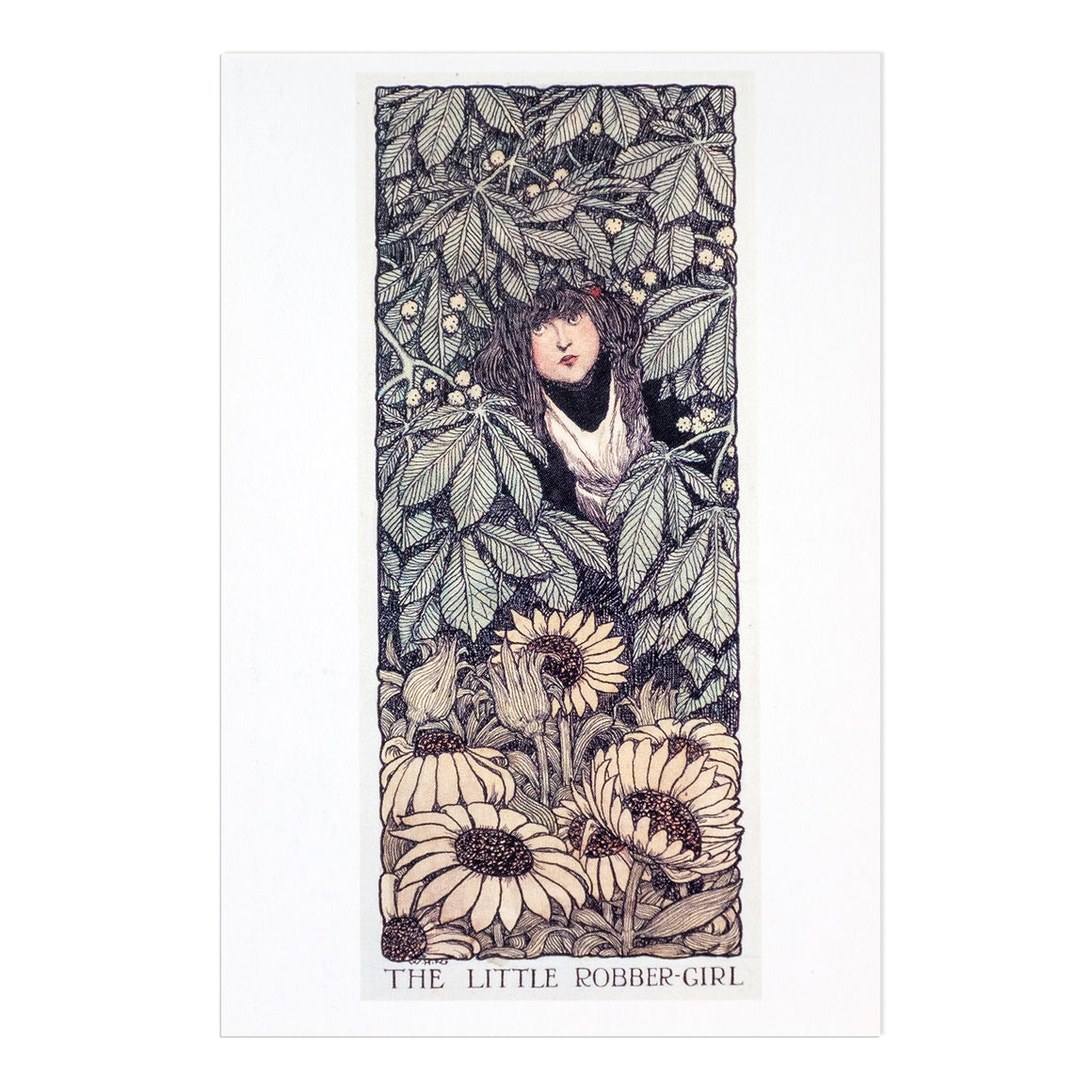 Postcard Pack - Pack 2